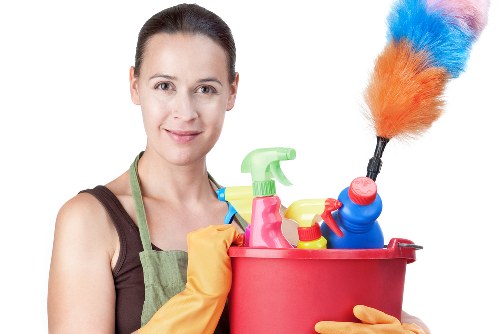 Professional pet stain odour removal service in a Waterloo home