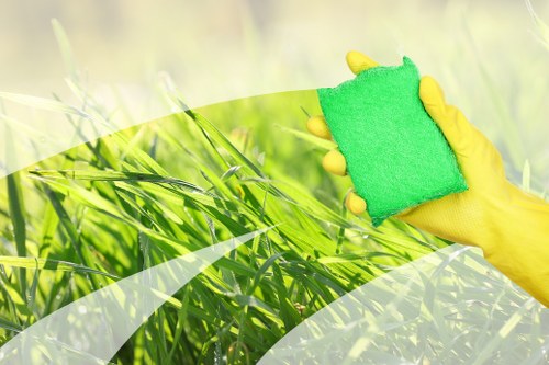 Professional house cleaning for a Waterloo home living room