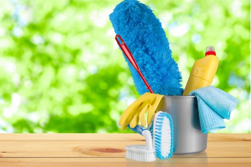 Inclusive cleaner Waterloo service experience with accessibility focus