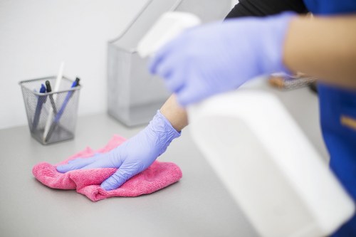 Professional oven cleaning service for Waterloo homes and apartments