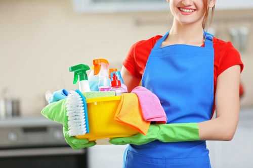 Deep cleaning a built-in oven for a Waterloo household or business
