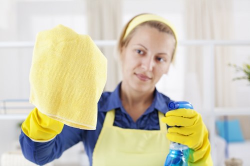 Deep upholstery cleaning for sofas and armchairs in Waterloo