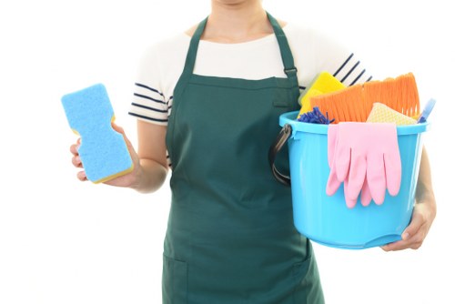 Professional stain removal for carpets and upholstery in Waterloo