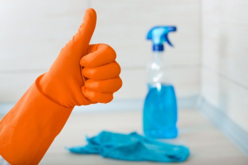 Targeted stain treatment for rugs, sofas, and mattresses in Waterloo